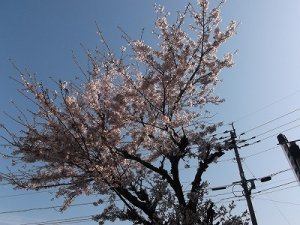 20120410135714.jpg