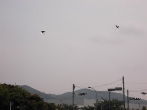 20120510164534.jpg